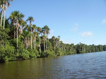 Lagune am Amazonas